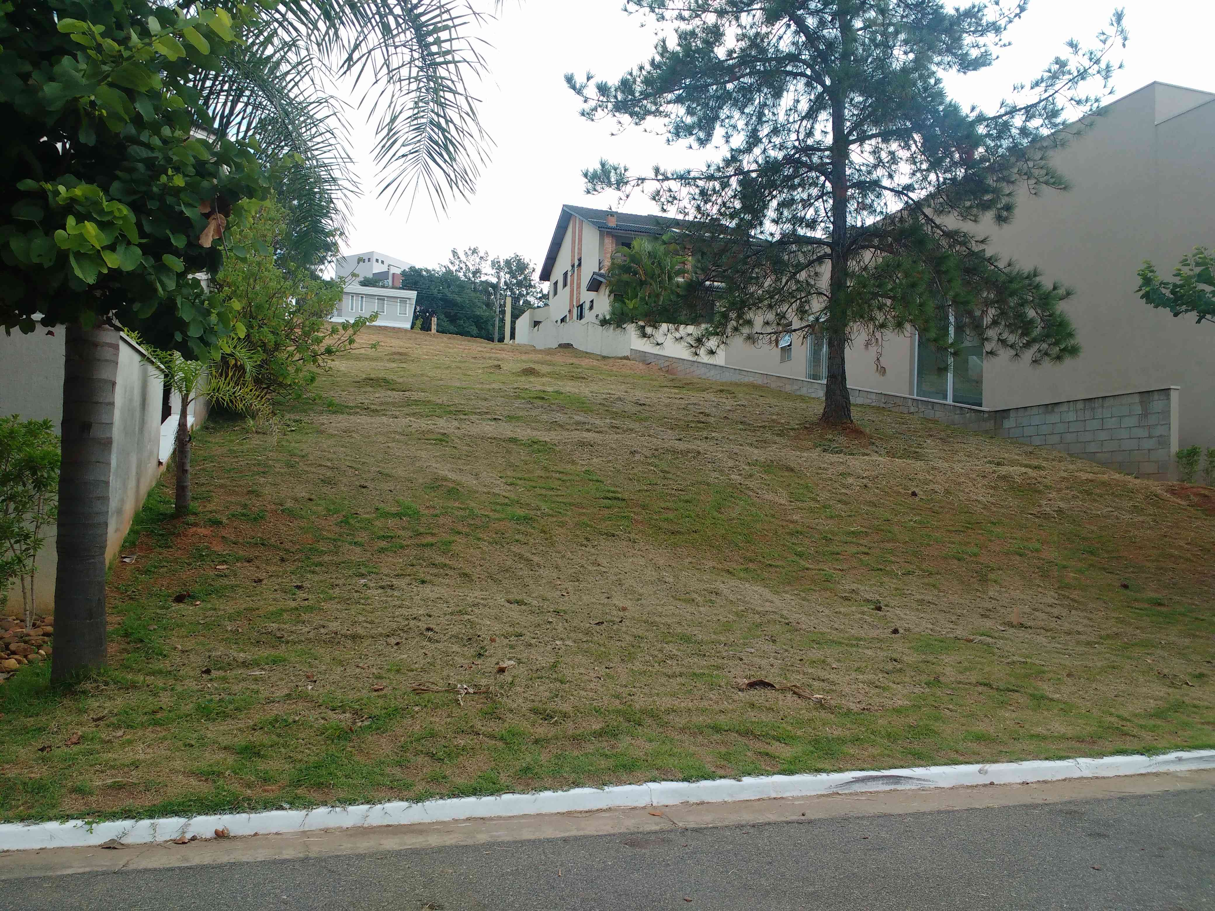 Terreno BARUERI  ALPHAVILLE   CONDE RESIDENCIAL