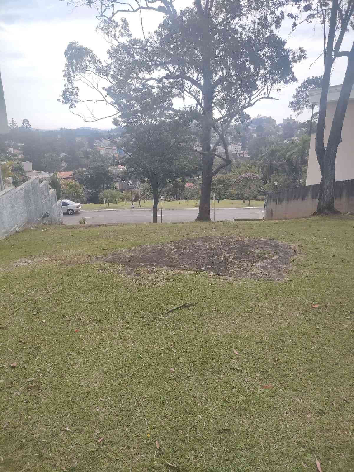 Terreno  ALDEIA DA SERRA  MORADA DOS PASSAROS