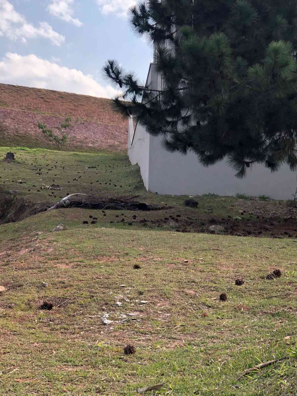 Terreno&nbsp;BARUERI &nbsp;ALPHAVILLE &nbsp;VILA SOLAIA