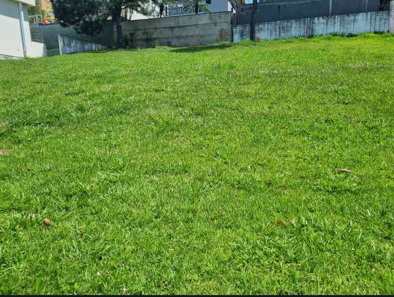 Terreno SANTANA DE PARNAIBA  ALPHAVILLE   BURLE MARX