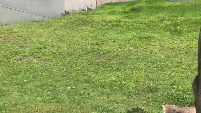 Terreno SANTANA DE PARNAIBA  ALPHAVILLE   GNESIS 2