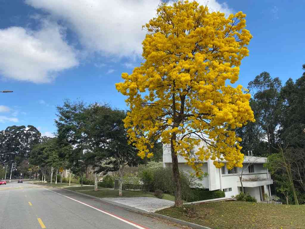 Casa de Condomnio SANTANA DE PARNAIBA  ALPHAVILLE  TAMBOR UM